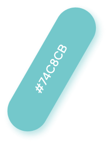 color icon
